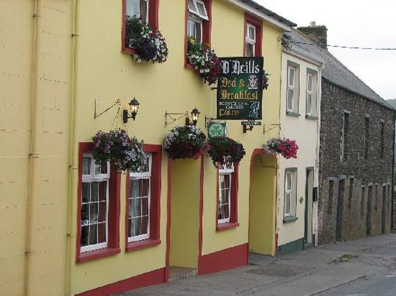 O Neills Bed And Breakfast Dingle Dış mekan fotoğraf